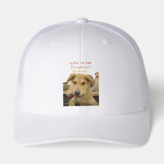 Casquette Sagesse d'or : Une vision oeil de chien de l'école