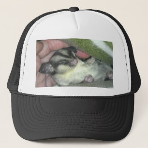 Casquette Saigneuse à sucre dormant dans la couverture