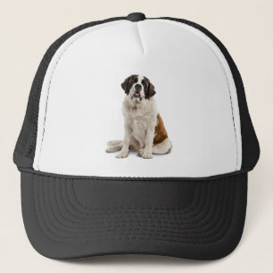 Casquette Saint Bernard Chien animal animal animal de compag