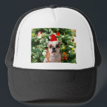 Casquette Santa Hat Bulldog Christmas Tree Snowman boîte cad<br><div class="desc">Mignonne photo Bulldog avec boîte cadeau de Noël Tree Snowman en arrière - plan. Un cadeau parfait pour Noël !</div>