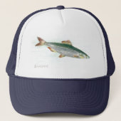 Casquette Sardine (Devant)