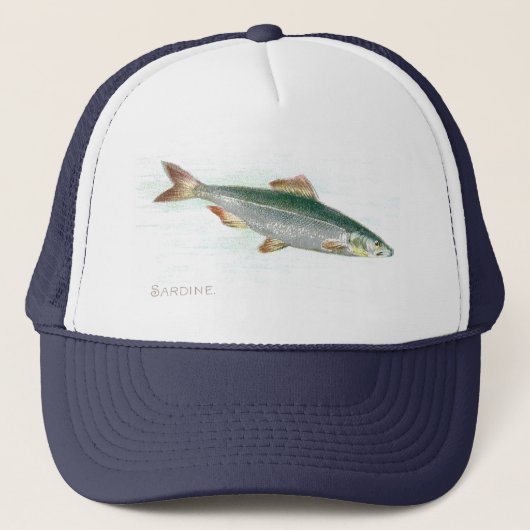 Casquette Sardine (Devant)