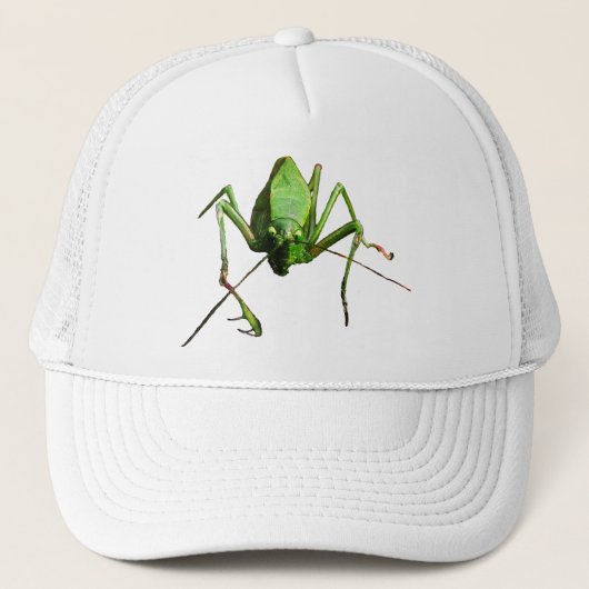Casquette Sauterelle (Devant)