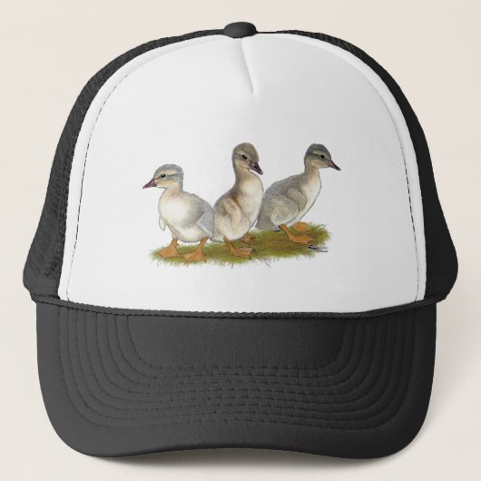 Casquette Saxe Ducklings (Devant)