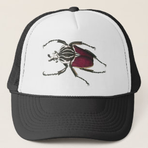 Casquette Scarabée de Goliath