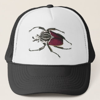 Casquette Scarabée de Goliath