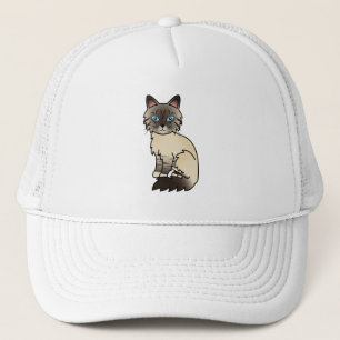 Casquette Seal Point Tabby Birman / Ragdoll Cat