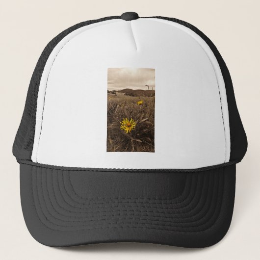 Casquette Sepia tone fleurs sauvages jaunes (Devant)