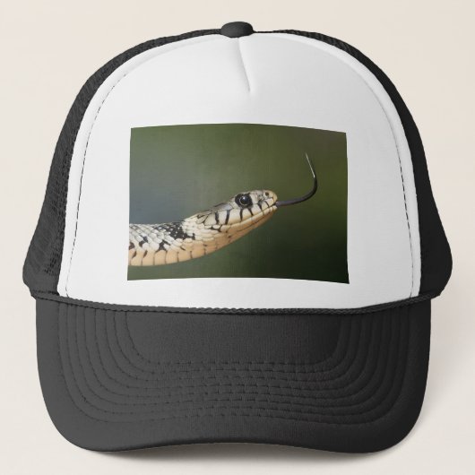 Casquette Serpent d'herbe (Devant)