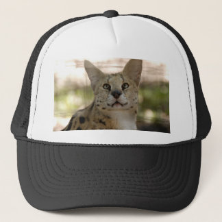 Casquette serval 017