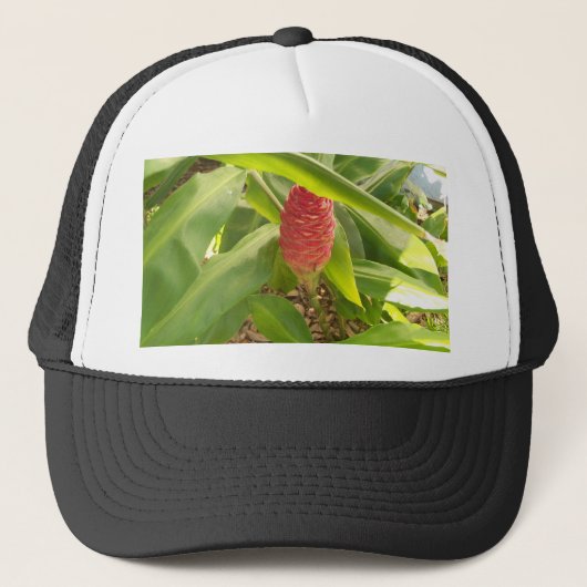 Casquette Shampoo fleur de gingembre (Devant)