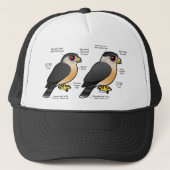 Casquette Sharpie de la cage v (Devant)