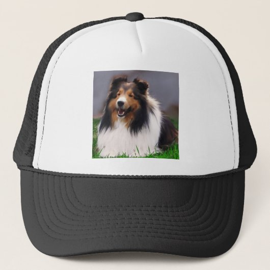 Casquette Shetland Sheepdog Sheltie Art Cadeaux (Devant)