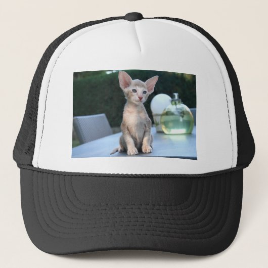 Casquette Siamese Kitten sur une table (Devant)