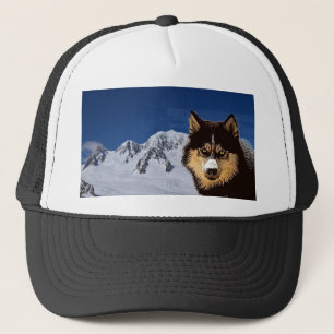 Casquette sibérien Husky