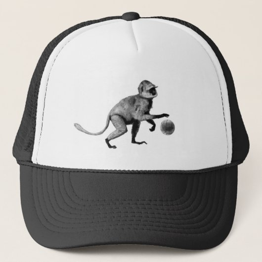 Casquette Singe d'araignée de basket-ball (Devant)