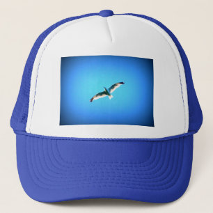Casquette soaring gull hat