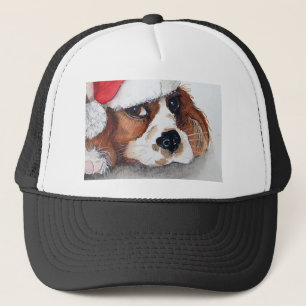 Casquette Spaniel puppy