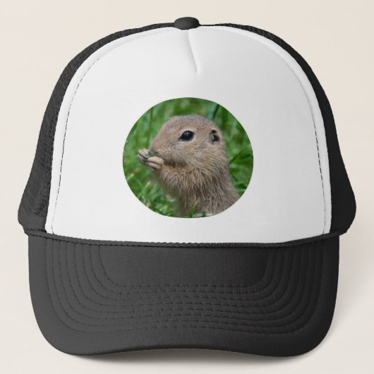 Casquette Spermophilus citellus (Devant)