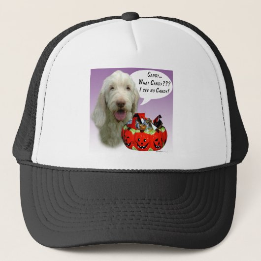 Casquette Spinone Italiano Halloween Candy (Devant)