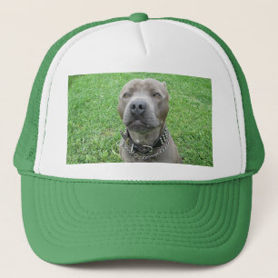 Casquette Staffy A La Face Drool Sur,
