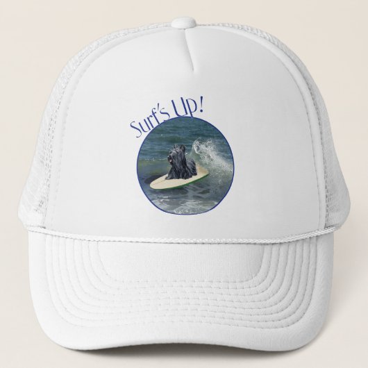 Casquette Surfant sur Skye Terrier (Devant)