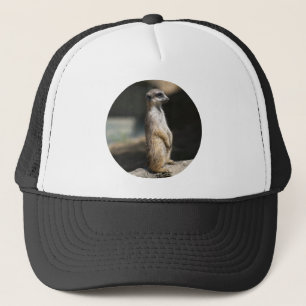 Casquette Suricate