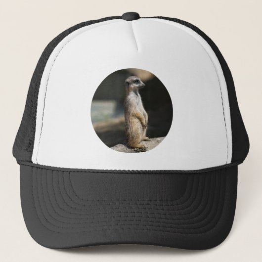 Casquette Suricate (Devant)