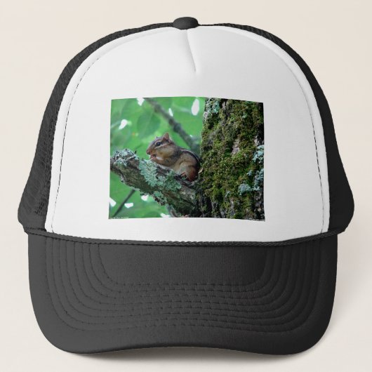 Casquette Sweet Chipmunk dans un arbre Vêtements et cadeaux (Devant)