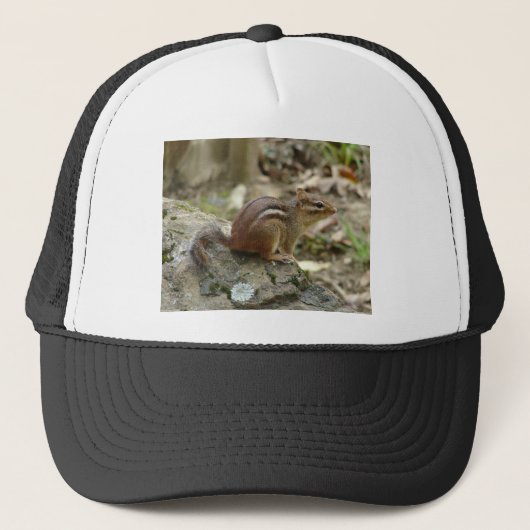 Casquette Sweet Chipmunk Hot Springs National Park Cadfts (Devant)