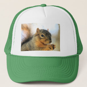 Casquette T-shirt