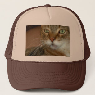 Casquette Tabby Cat Love
