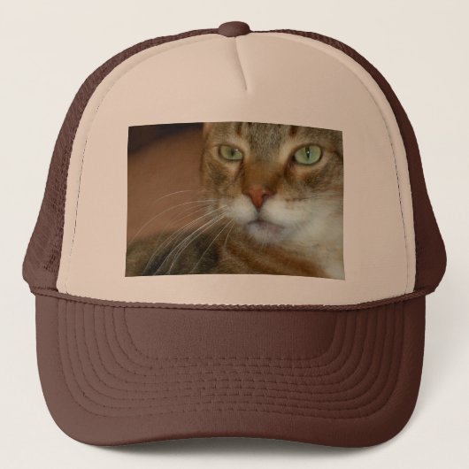 Casquette Tabby Cat Love (Devant)