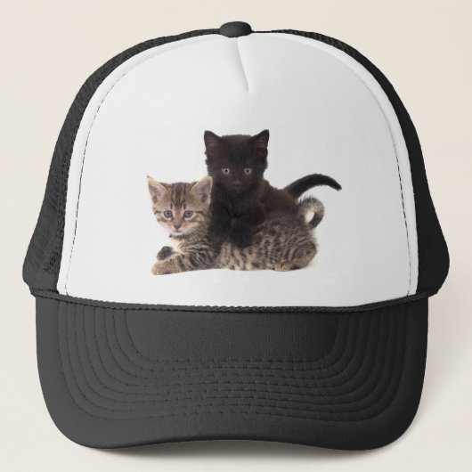 Casquette tabby kitten black kitten (Devant)
