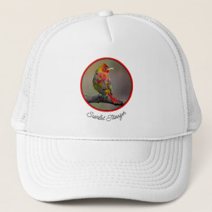 Casquette Tangara écarlate en mue - Photographie originale