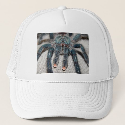 Casquette tarantule bleue (Devant)