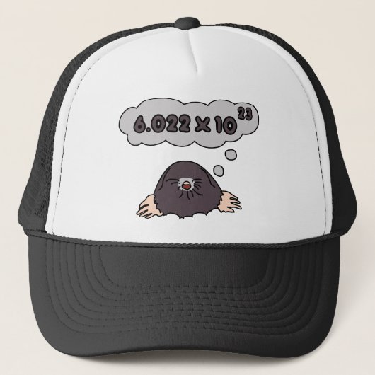 Casquette Taupe (Devant)