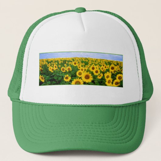 Casquette Terrain de tournesol (Devant)
