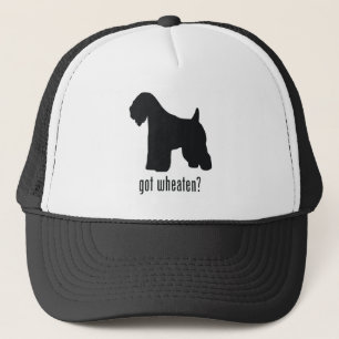 Casquette Terrier blond comme les blés Doux-Enduit