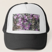 Casquette Texas Sage (Devant)
