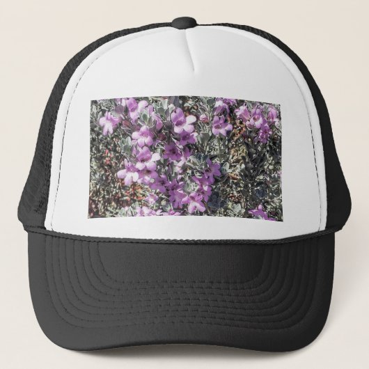 Casquette Texas Sage (Devant)