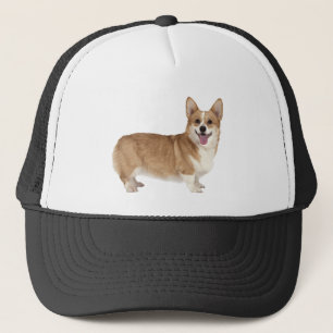 Casquette The text you provided is not a