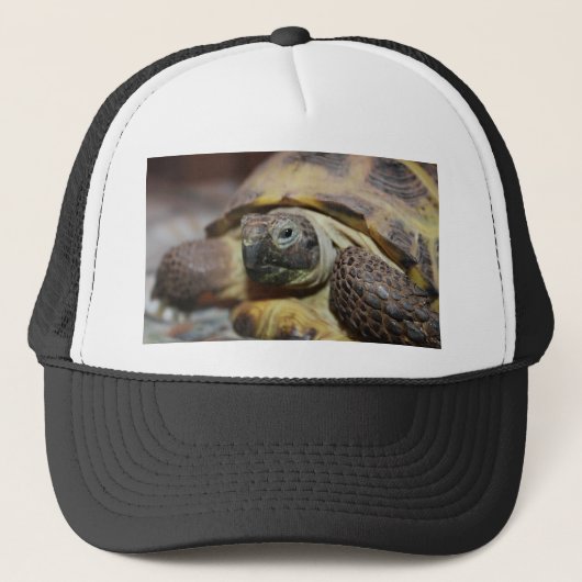 Casquette Tibbs (Devant)
