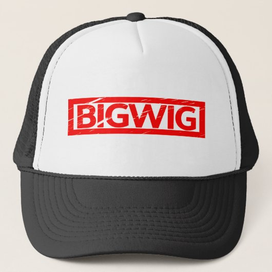 Casquette Timbre de Bigwig (Devant)