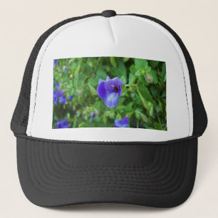 Casquette Torenia