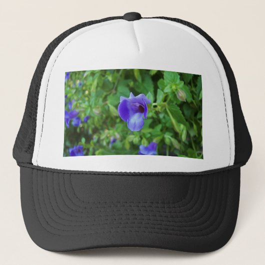 Casquette Torenia (Devant)