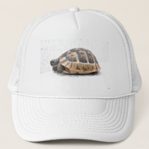 Casquette Tortue