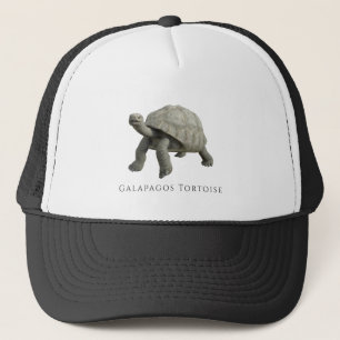 Casquette Tortue des Galapagos
