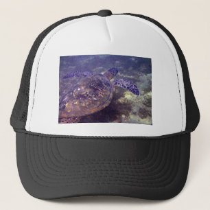 Casquette Tortues de mer hawaïennes