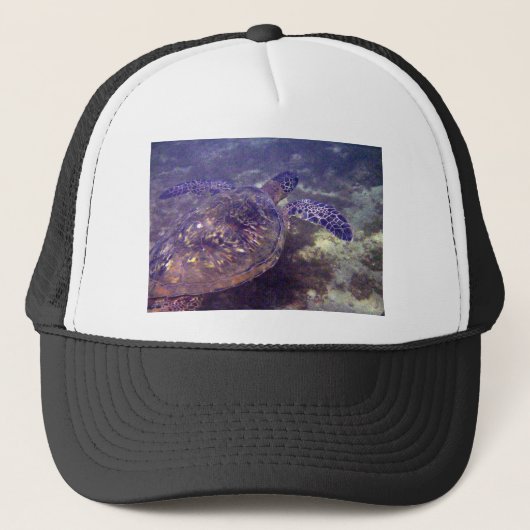 Casquette Tortues de mer hawaïennes (Devant)